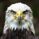 Empreendedor de Sucesso e A Filosofia que Transformou a América